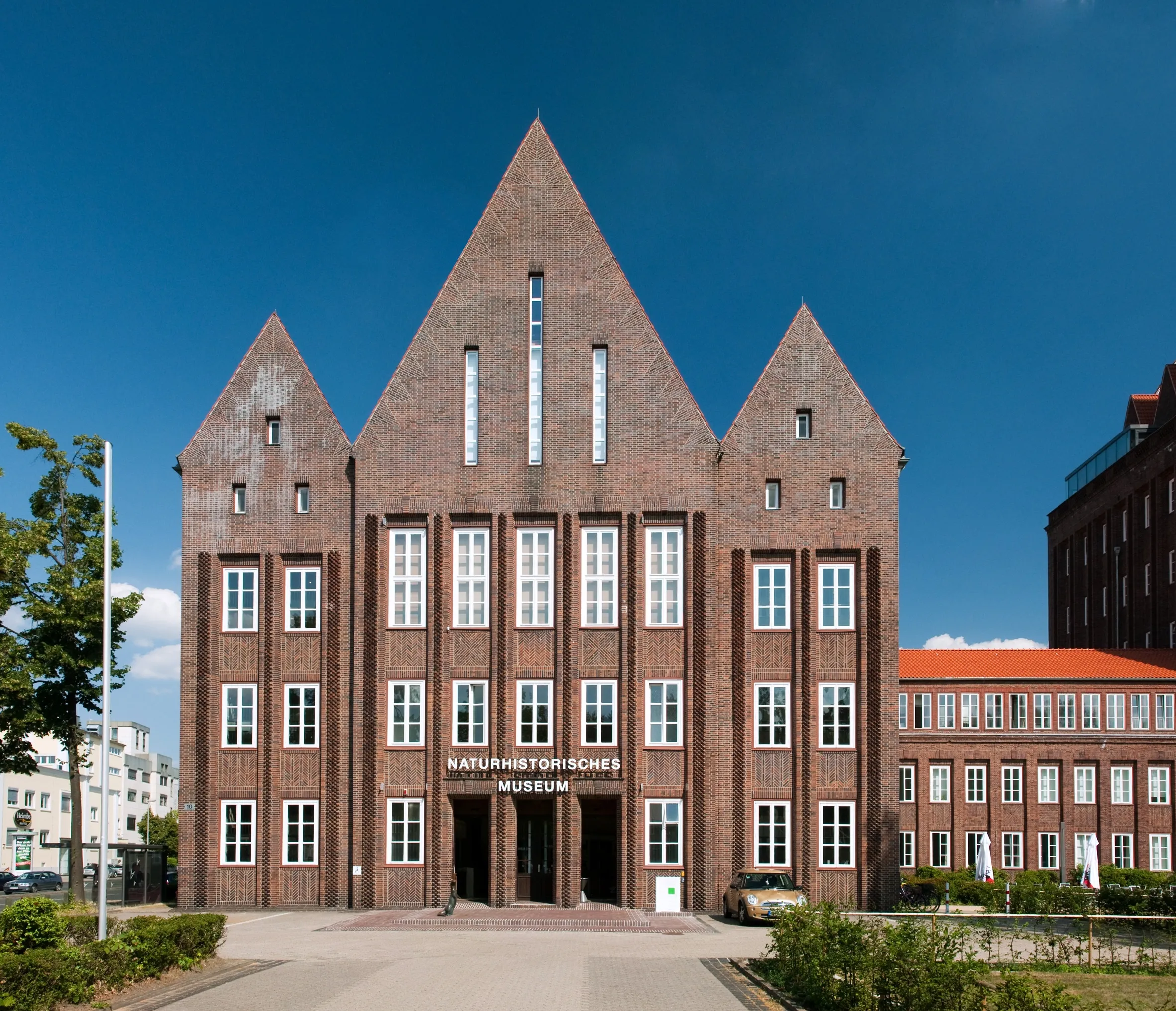 Staatliches Naturhistorisches Museum in Braunschweig, Eingangsbereich